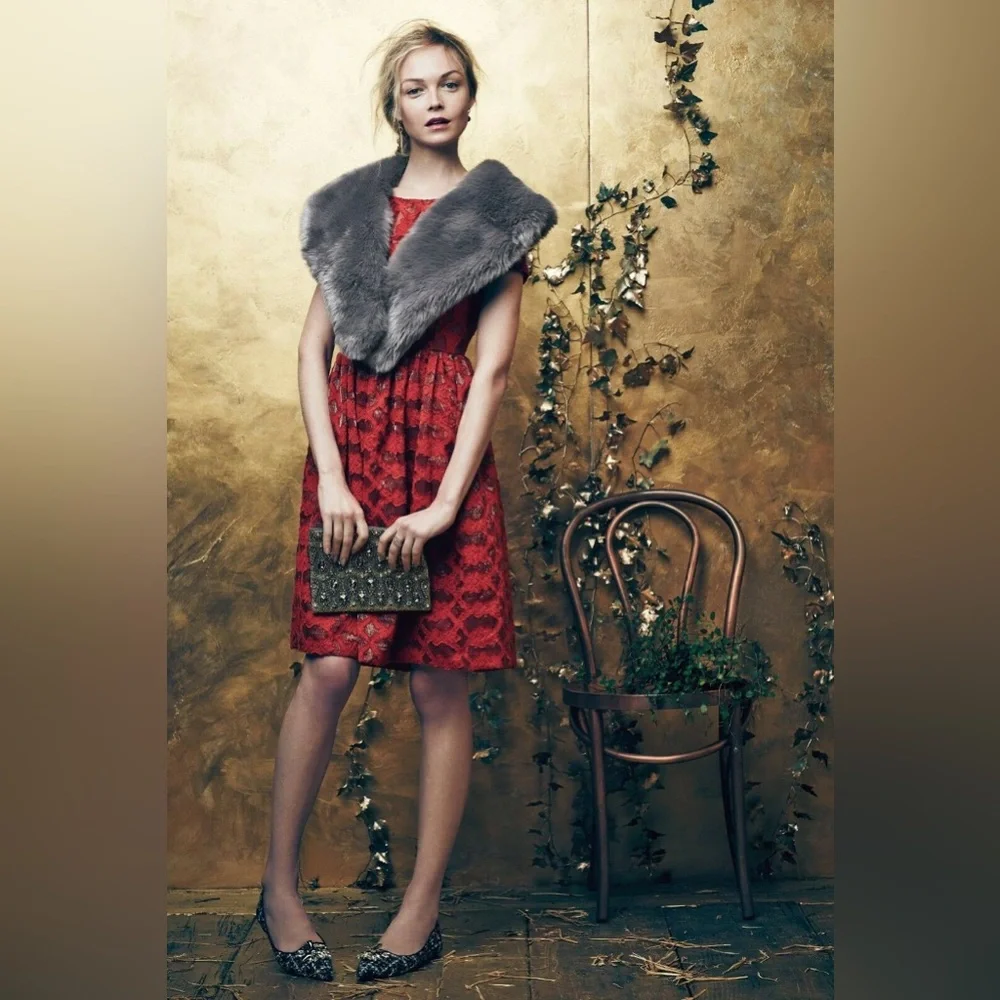 MOULINETTE SOEURS by
ANTHROPOLOGIE Rubied Lace Fit and
Flair Party Dress - Picture 4 of 10